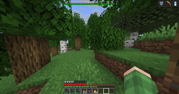 Before