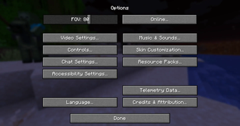 Options Menu