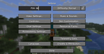 Options Menu - Ingame