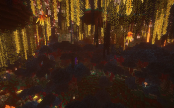 Dimensions enhanced