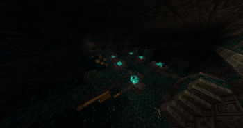 Warden Dungeon Loot Room