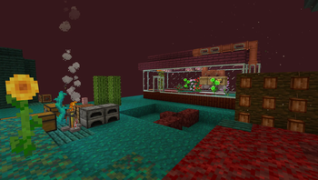 choco beans and apiary area