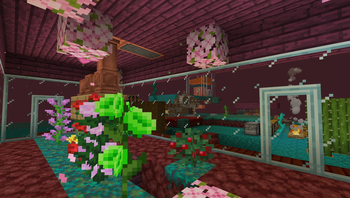 apiary area