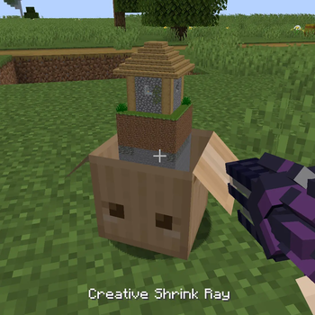 Boxed Sublevel (for carrying and storage)