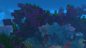 Bonemealed coral