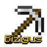 Bizigus