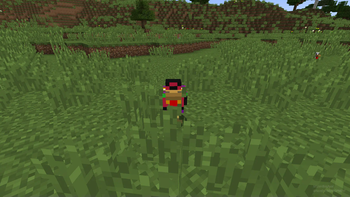 Chickem