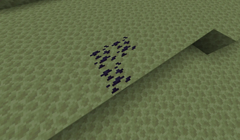 Voidium