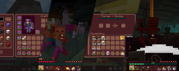 Feature Showcase
