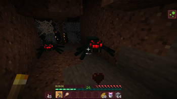 Fighting Spiders