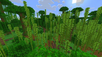 Jungle