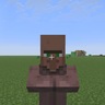 No Villager Nameplate