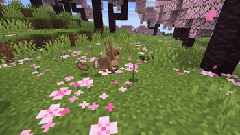 Morsels & More — screenshot 1