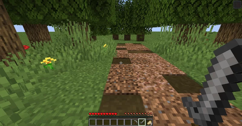 Dynamic Pathways