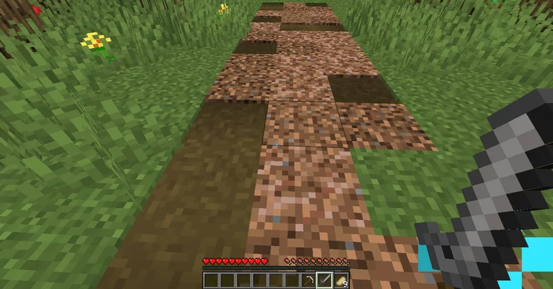 Dynamic Pathways