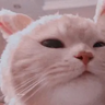 BigKami