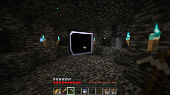 Portal entrance in the overworld