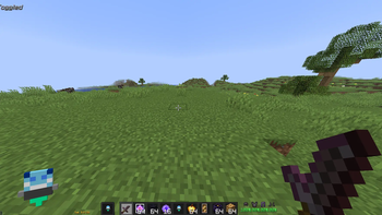 Full Inventory+Sword