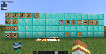 Full Item Display