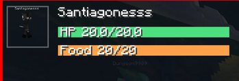 Random player found in hypixel
