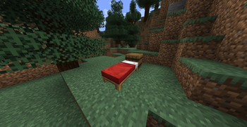 Bed + Barrel