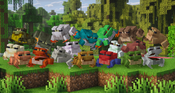 Frog Banner