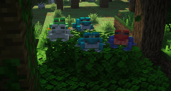 Jungle Frogs!