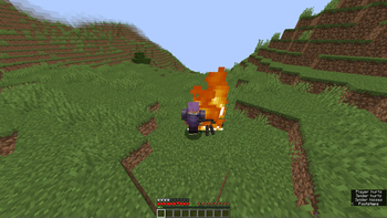 Flare Enchantment Display