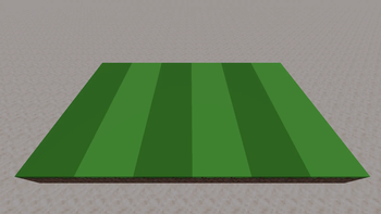 Grass