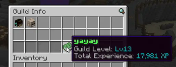 Guild Information Page
