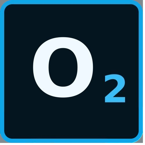 Only Optimizer