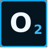 Only Optimizer