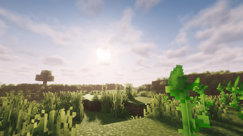 Vast Prairie