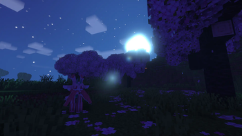 Cherry Blossom Forest
