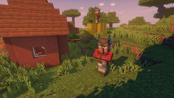 Village