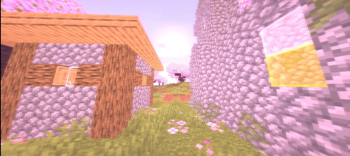 Village View