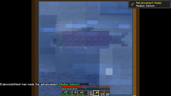 Medium Salmon