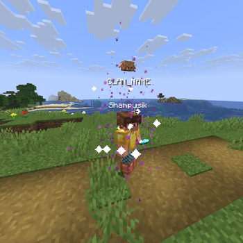 teleport animation