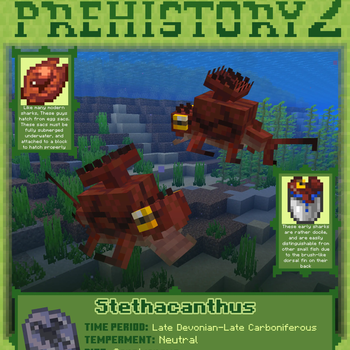 Stethacanthus Info Card
