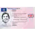 In game driver's license