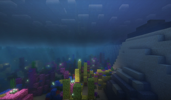 Under water scenery