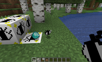 Blinking Eye Item
