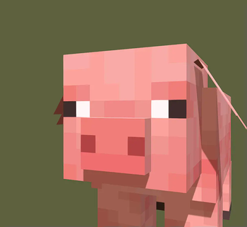 Pig