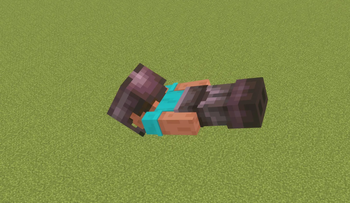 cant see it!