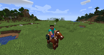 Riding on a Horse