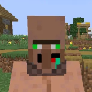The Silly villager