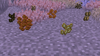 So many seeds!