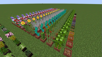 Large Flower Pots