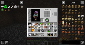 my items (normal superflat so far)