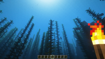 Torch underwater (dark)